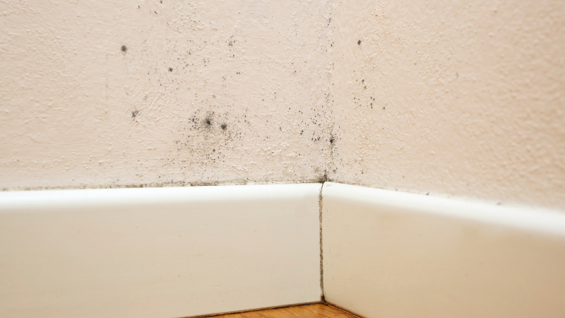 Wasserschaden Gutachten – feuchte Wand durch Rohrbruch